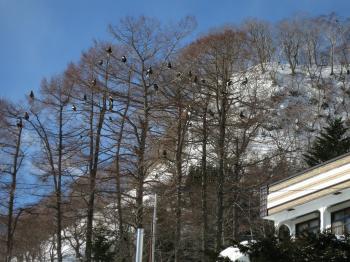 ファイル名: IMG_1959.jpg
ファイルサイズ: 391.1KB
→クリックで元のサイズを表示 IMG_1959