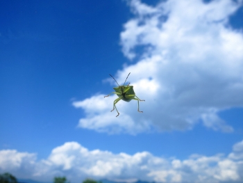 ファイル名: IMG_8306J.jpg
ファイルサイズ: 58.8KB
→クリックで元のサイズを表示 IMG_8306J